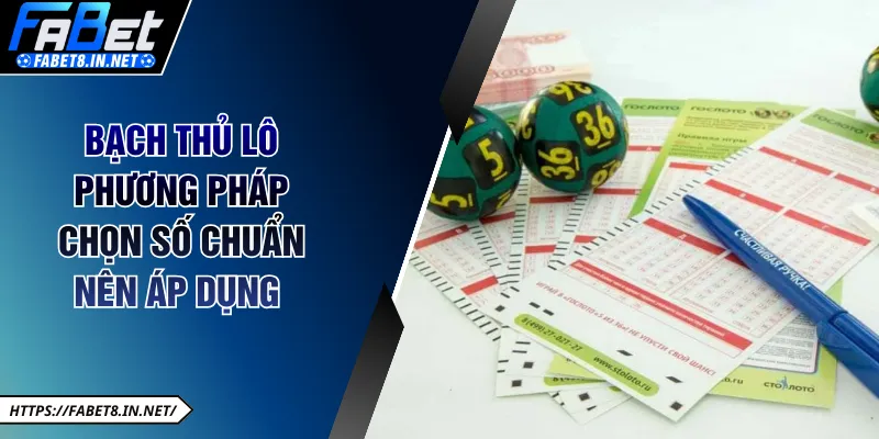 Bạch thủ lô phương pháp chọn số chuẩn nên áp dụng