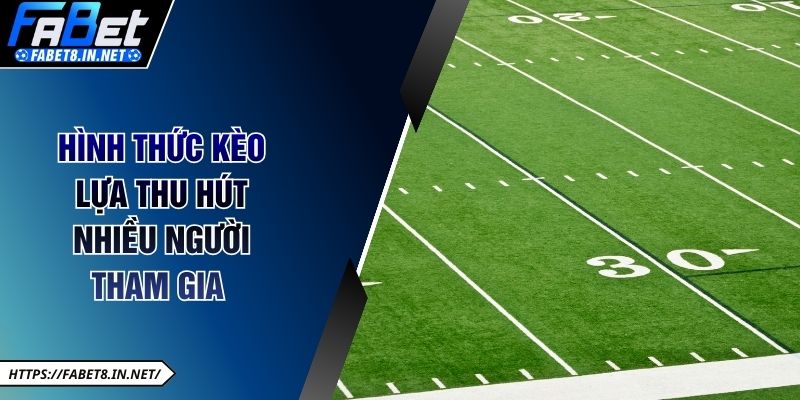 Hình thức kèo lựa thu hút nhiều người tham gia 