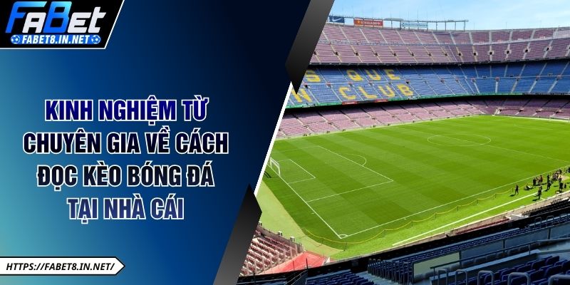 Kinh nghiệm từ chuyên gia về cách đọc kèo bóng đá tại nhà cái