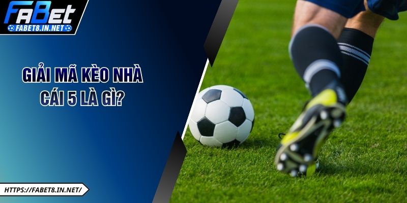 Giải mã kèo nhà cái 5 là gì?